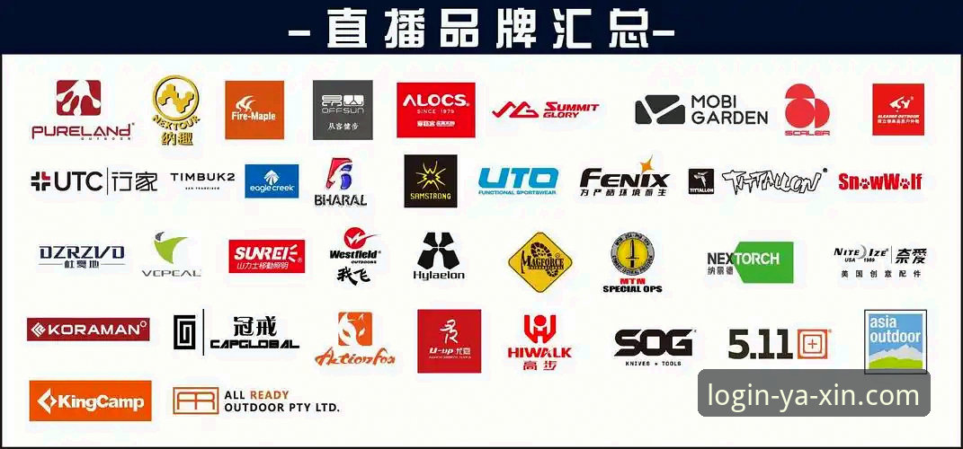 亚新体育登录地址 资深用户分享:亚新登录入口的实战使用心得与技巧
